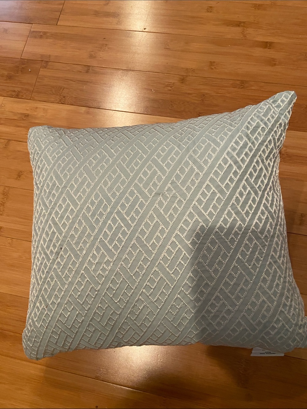 Decorative Light Blue (blueish-greenish)Geometric Accent Pillow